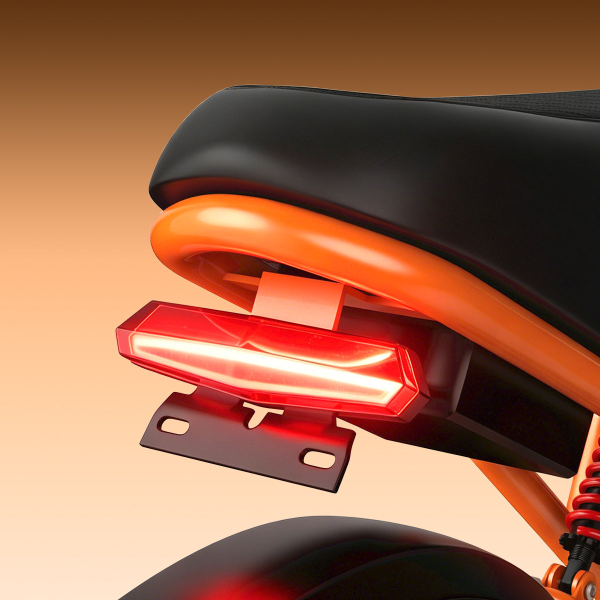 Integrated Rear Light
