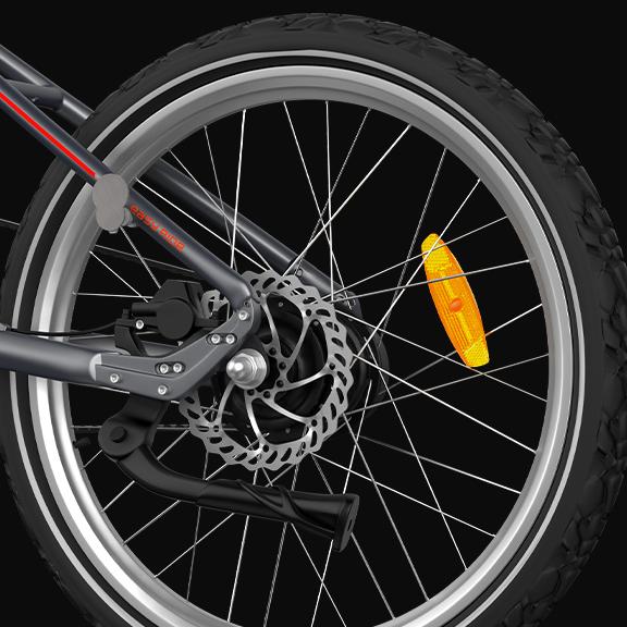 PVY LIBON padangos stipinai