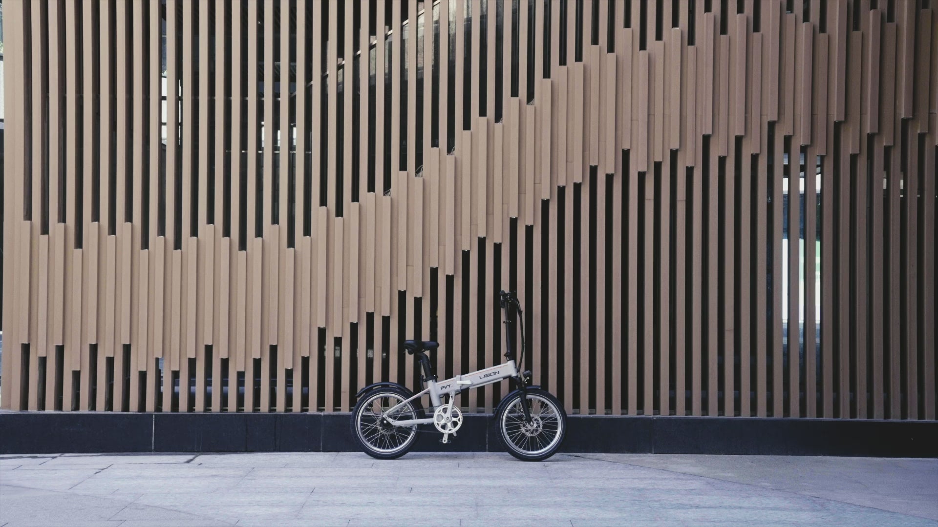 PVY LIBON（备份）（副本）